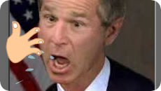 Bush slap