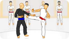 Karate borba
