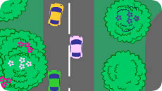 Mini avto
